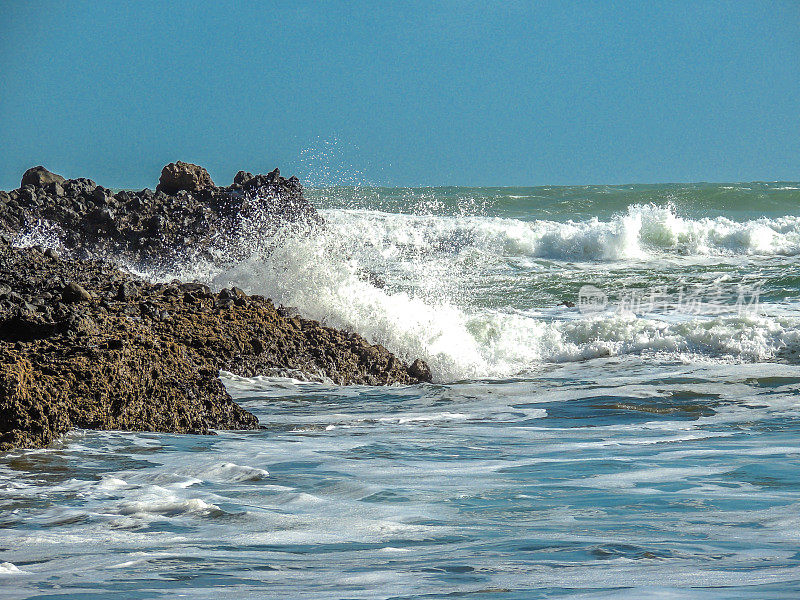 海浪来岸，Piha海滩，奥克兰，新西兰