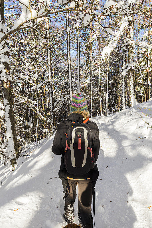 徒步旅行的女人在白雪覆盖的森林中行走和探索