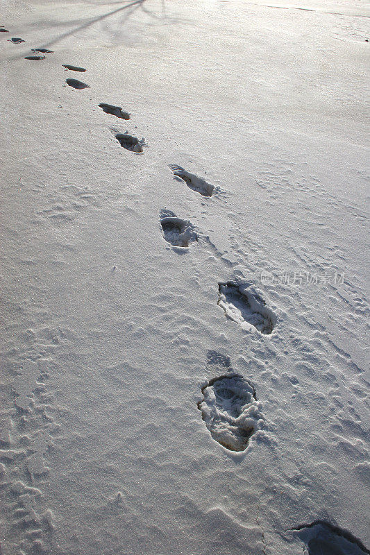 雪地里的脚步声