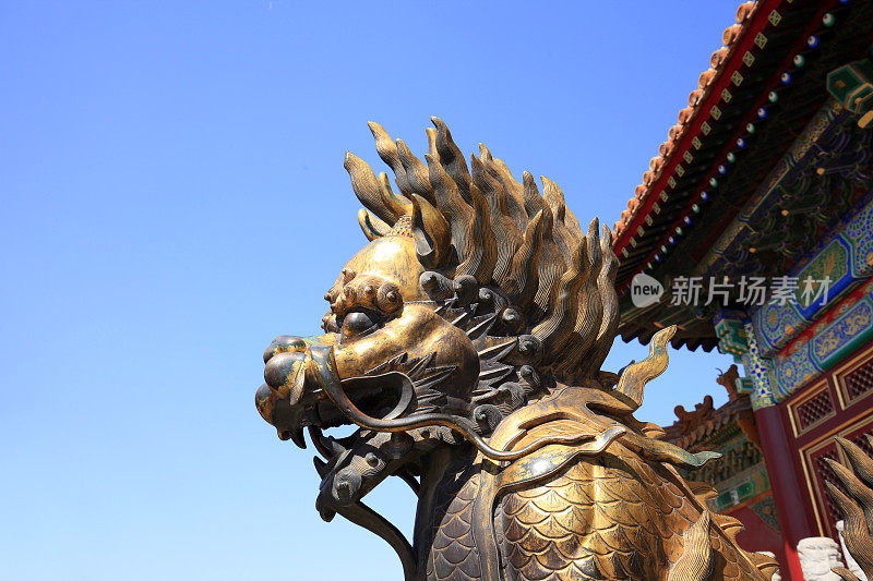 北京故宫的铜狮