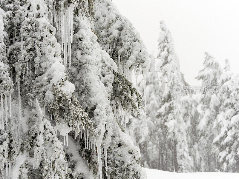 俄勒冈山上的冰柱和积雪覆盖的树