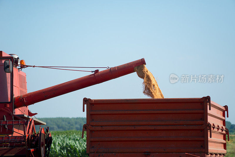 夏季小麦收获