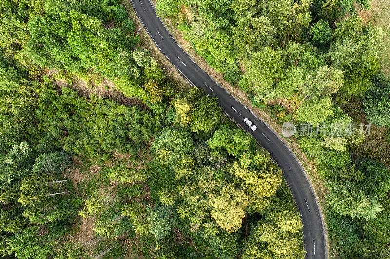 蜿蜒的道路穿过森林