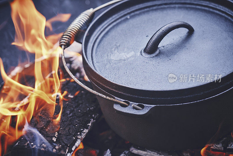 在荷兰烤炉上用原木火烹饪辣味牛肉