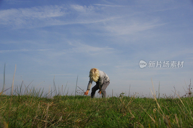 沼泽里的男孩