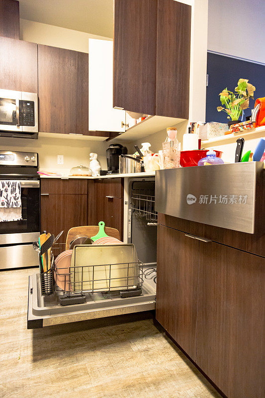 豪华的家庭室内现代厨房与开放式平面图