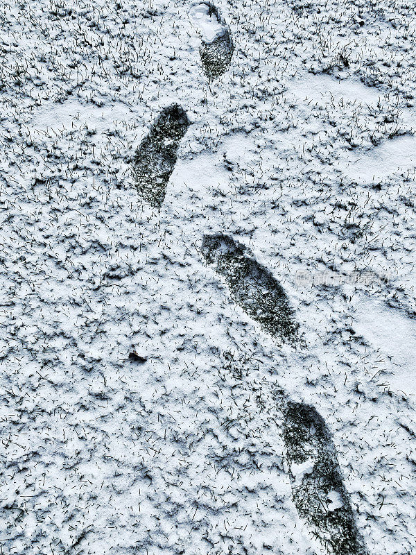 草地上的脚印被雪覆盖