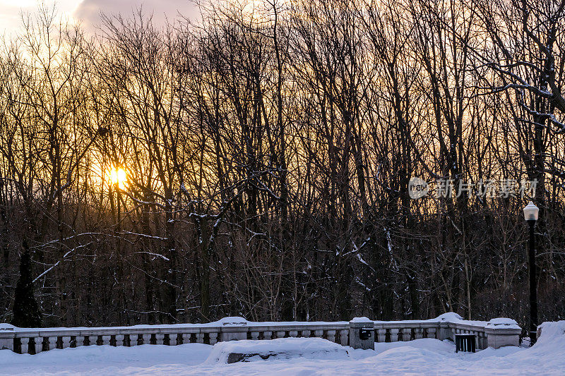 蒙特利尔皇家山公园在一个寒冷的冬天的下午