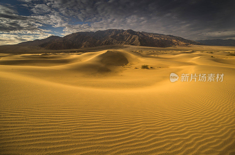 死亡谷的沙丘