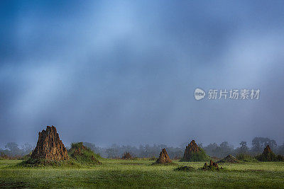 在刚果盆地热带雨林的一个热带草原岛上，巨大的白蚁丘