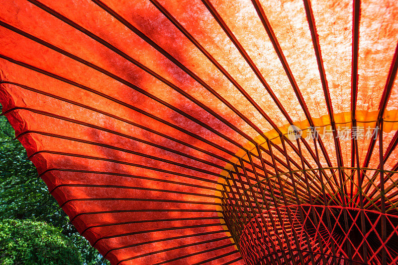 日本红雨伞