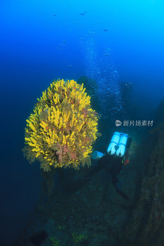 潜水技术潜水员探索和享受沉船潜水海上生命潜水夫妇水上运动技术潜水水肺潜水员的观点