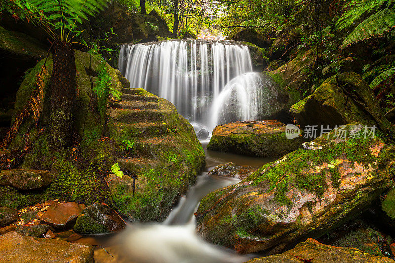 哭泣岩石瀑布，蓝山，澳大利亚