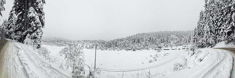 雪域森林全景，冬季景观