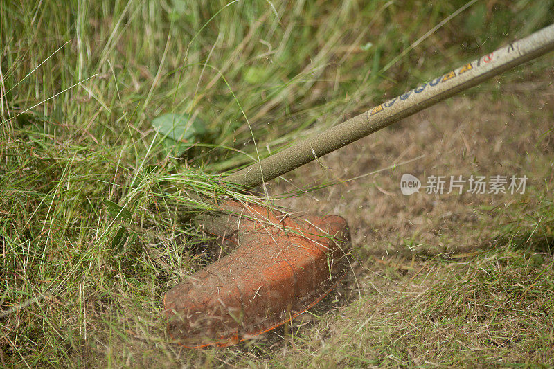 加勒比黑人在割草