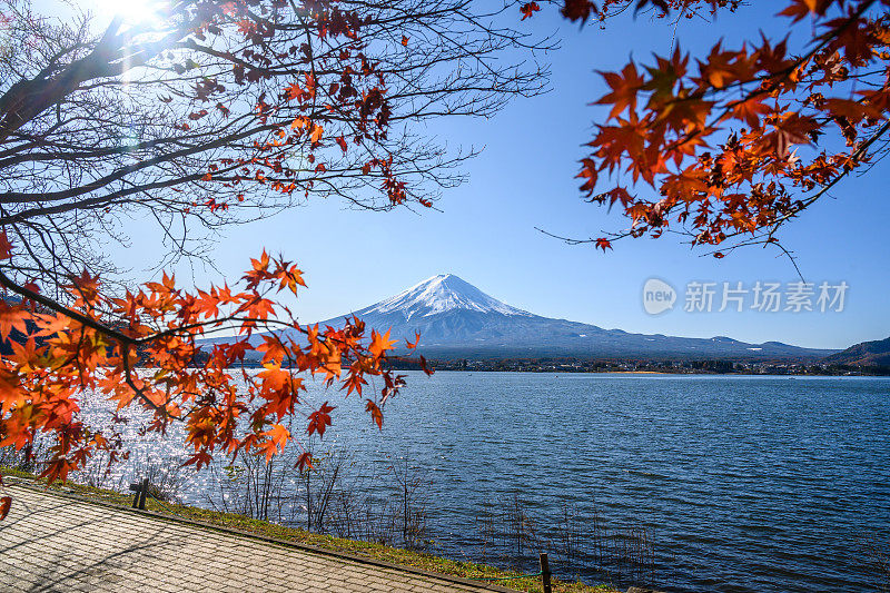 日本富士山的秋天