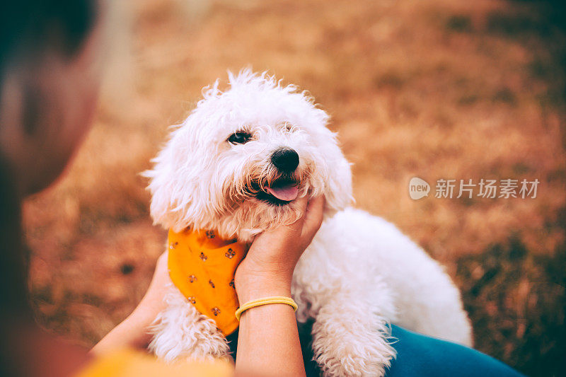 女人和她心爱的宠物