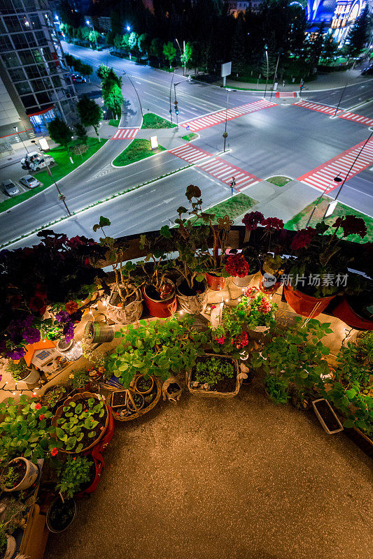 舒适的阳台花园，花和仙女灯的夜晚