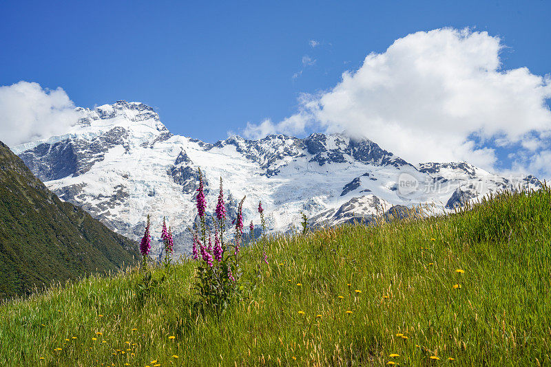 库克山国家公园风景，南岛，新西兰