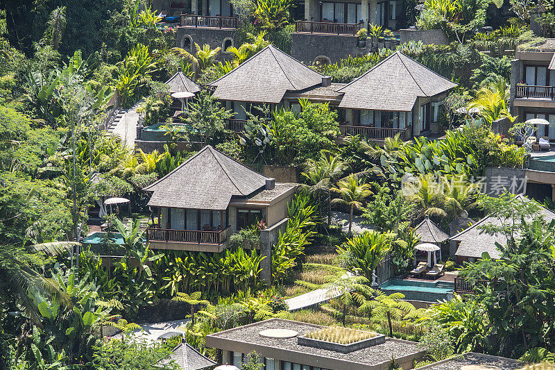 森林度假村，巴厘岛度假胜地