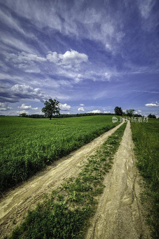 乡村景观中的乡村道路(HDRi)