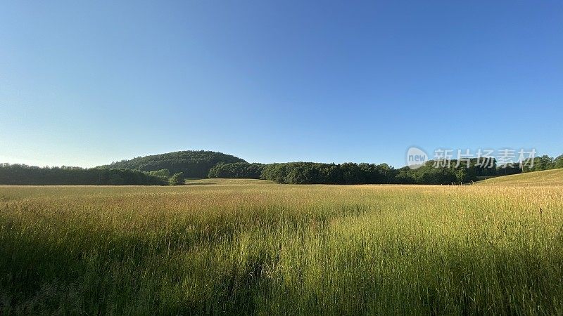 空地-纽约州北部，美国