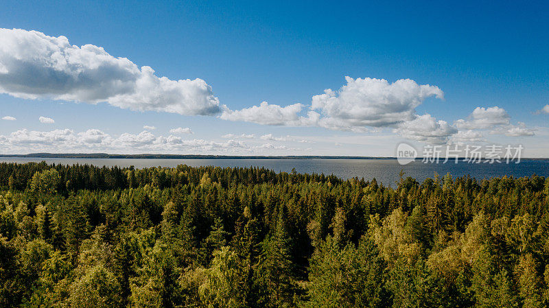 森林，天空和水景观在瑞典无人机图像