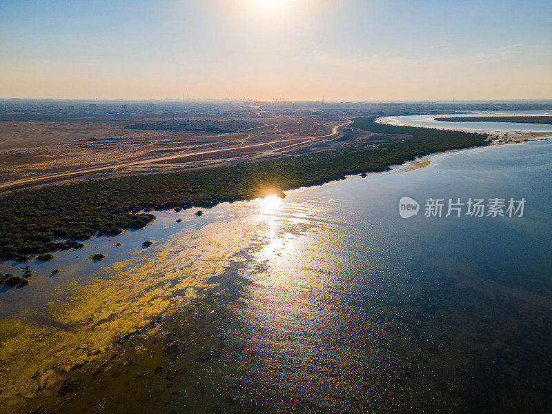 阿联酋乌姆阿尔夸文酋长国的红树林海滩和森林