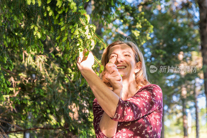 在阳光明媚的春日，女人采摘新鲜的小云杉