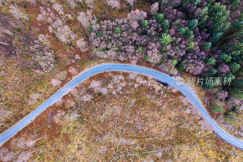 无人机拍摄的苏格兰森林道路
