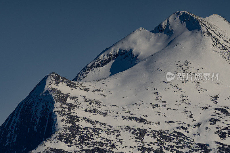 户外:森林和雪山