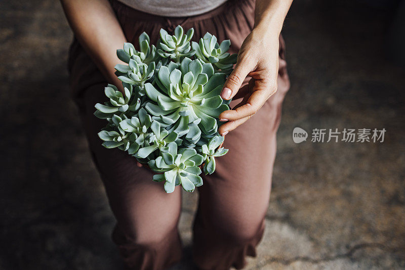 高角度拍摄一位不知名的女园丁穿着棕色裤子，坐着并把一盆植物放在她的腿上