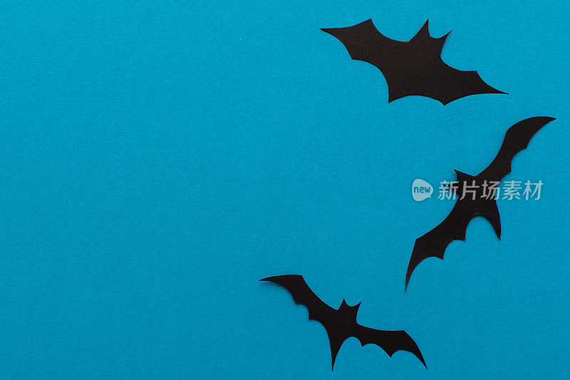 现代黑色和橙色模板与黑色蝙蝠在蓝色背景。万圣节的概念