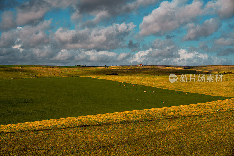 绿色和黄色的田野和日落的天空