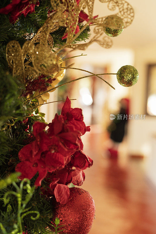 圣诞节装饰的一个房子的客厅