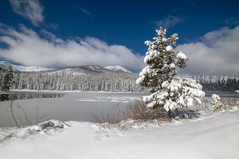 春天的风景场景与雪和反射在森林湖