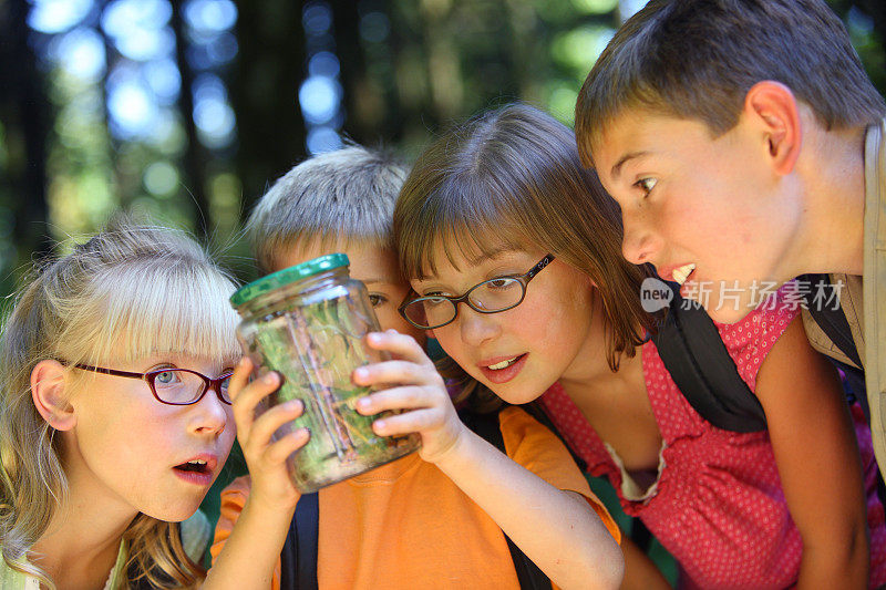 一群孩子在看罐子里的虫子