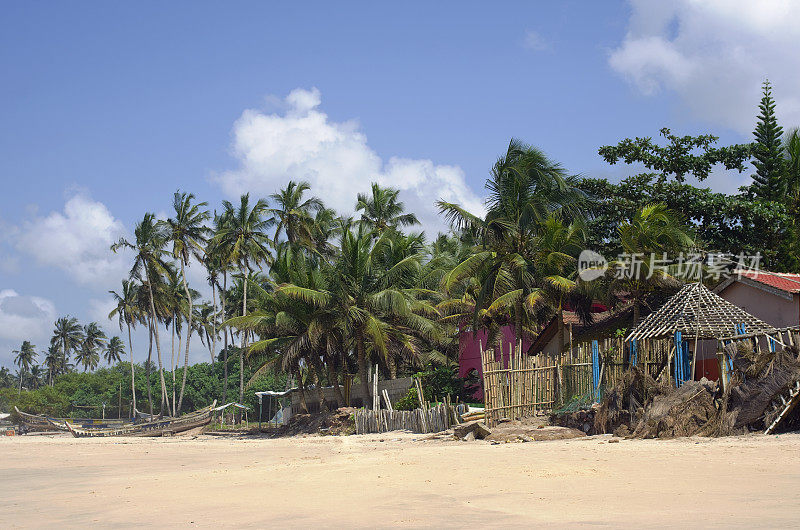 贫穷的非洲渔村和海岸边的棕榈树