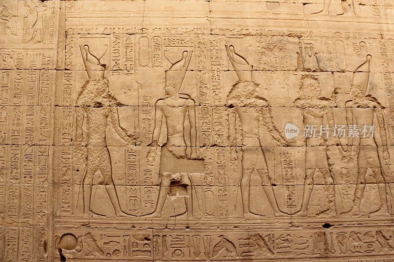 埃德夫神庙墙壁上的浮雕。埃及。