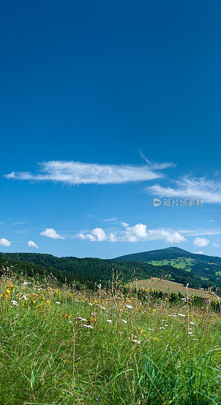 全景春天景观51mpixxxxxl大小-草地，天空