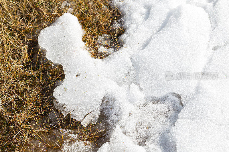 春天的迹象——雪和草正在融化