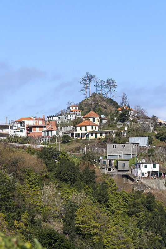 参观马德拉岛:北部海岸地区