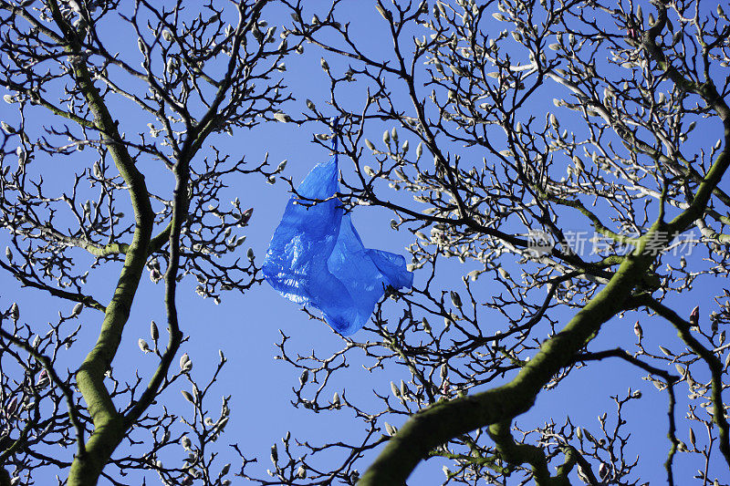 蓝色塑料袋的环境问题在风中吹拂