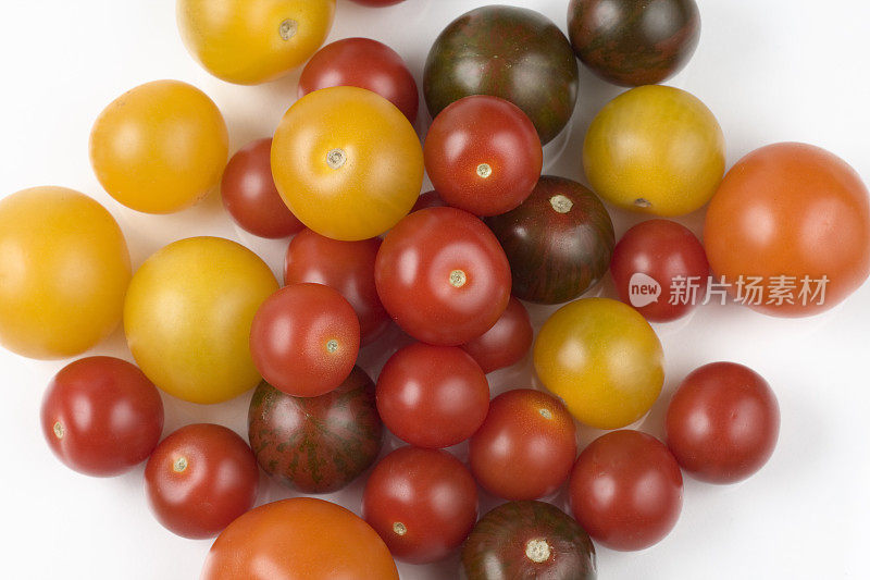 各种各样的西红柿