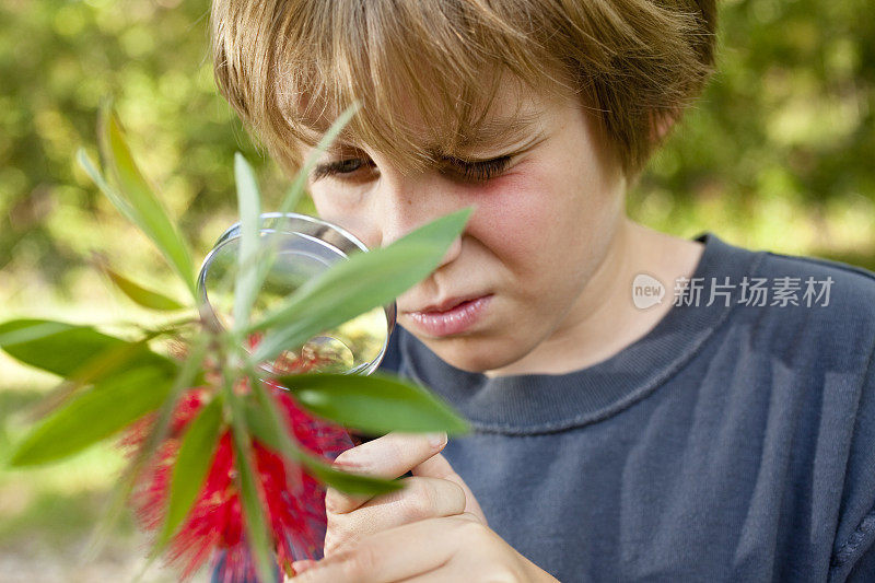 小学生用放大镜检查植物昆虫