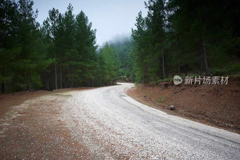 蜿蜒的道路