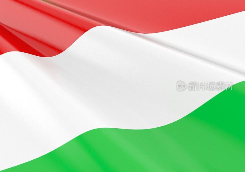 挥舞着匈牙利国旗