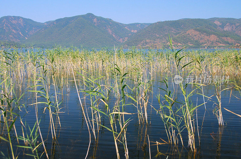 风景湖Köyceğiz和Akdağ山。