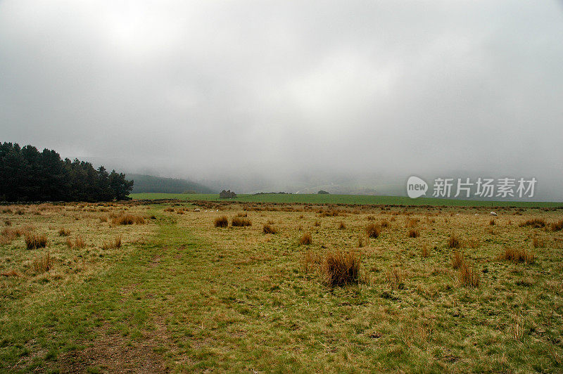 朦胧的高沼地景色