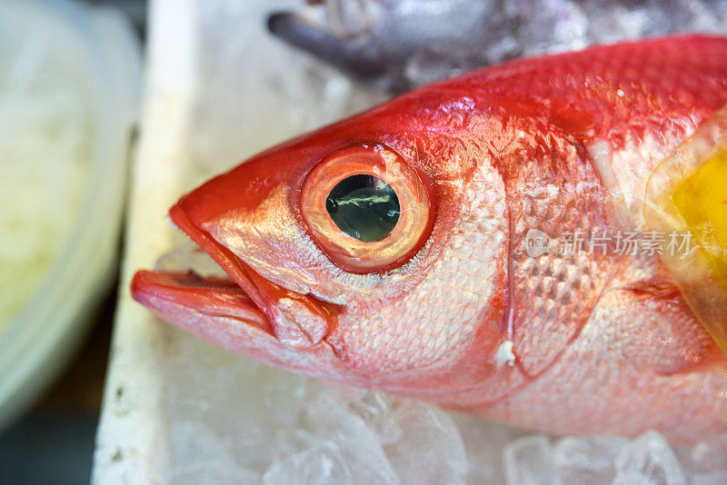 日本冲绳县公共市场上五颜六色的鱼